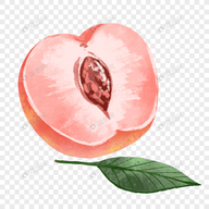水管视频app最新版本下载APP应用