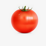 努努视频下载APP应用